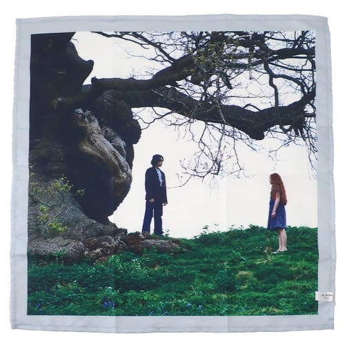 Harry potter giovane - potter,